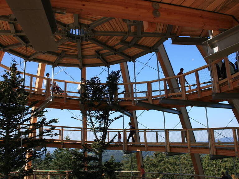 Innenansicht des spiralförmigen Aussichtsturms am Baumwipfelpfad im Nationalpark Bayerischer Wald mit Besuchern und Bäumen im Zentrum.