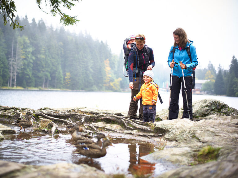 Eine Familie ist gemeinsam auf einer Wandertour durch den Bayerischen Wald in der nähe von Bodenmais unterwegs.