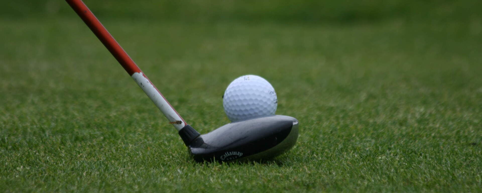 Ein Golfball liegt auf dem grünen Rasen eines Golfplatzes im Bayerischen Wald.