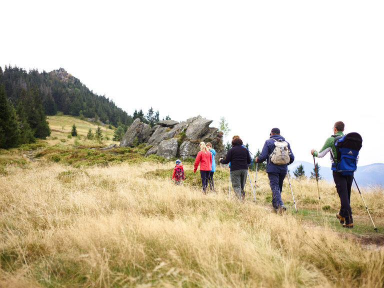 Eine Gruppe von Menschen beim Wandern auf einem Hügel in der Wildnis des Bayerischen Waldes.