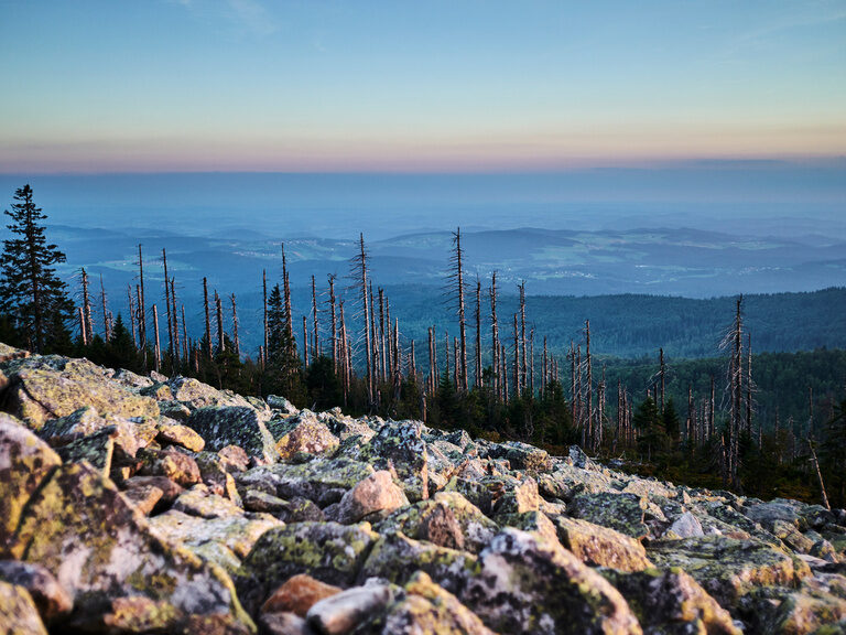 Ein Felsenmeer erstreckt sich über den Lusen im Bayerischen Wald.