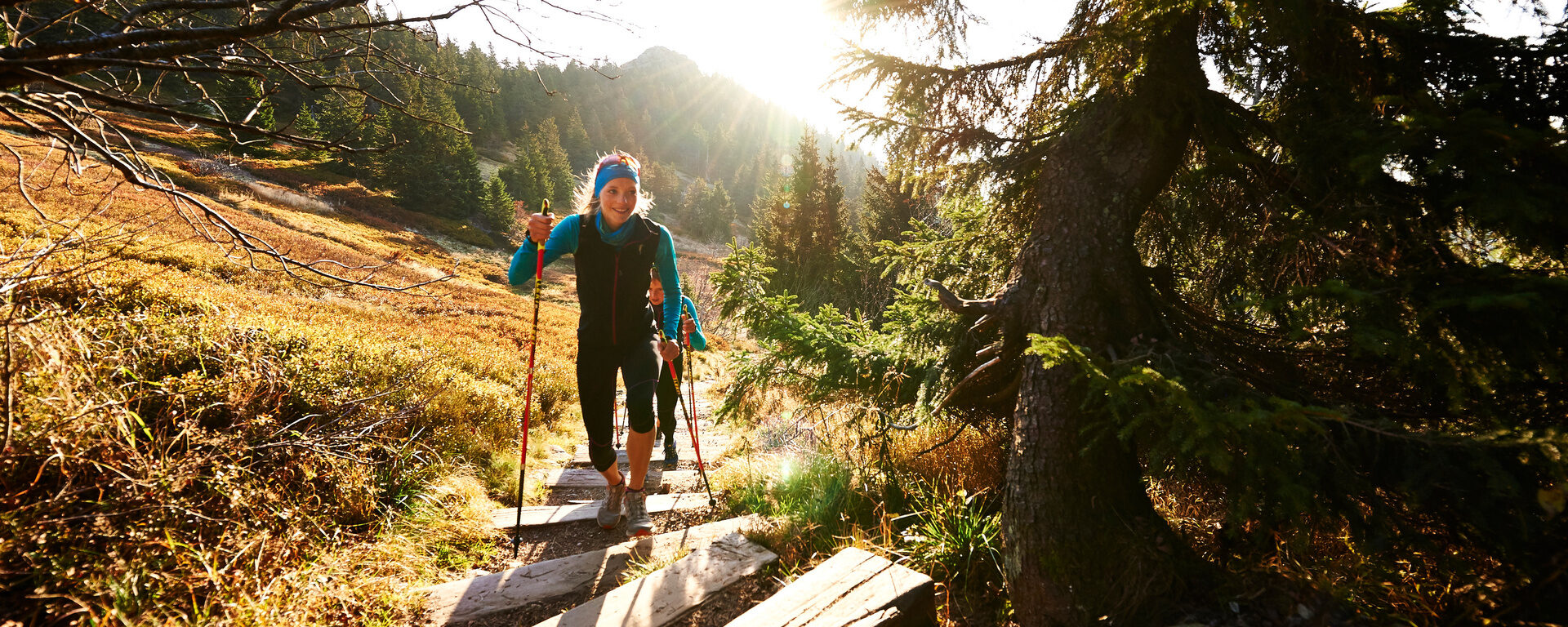 Eine Person wandert auf einem hölzernen Pfad durch den Bayerischen Wald.
