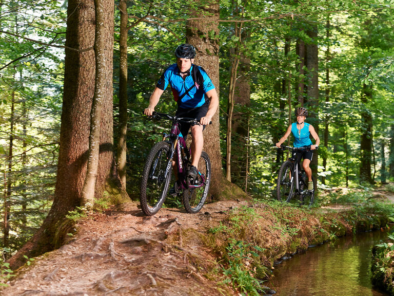 Radfahren oder Mountinbiken im Bayerischen Wald.
