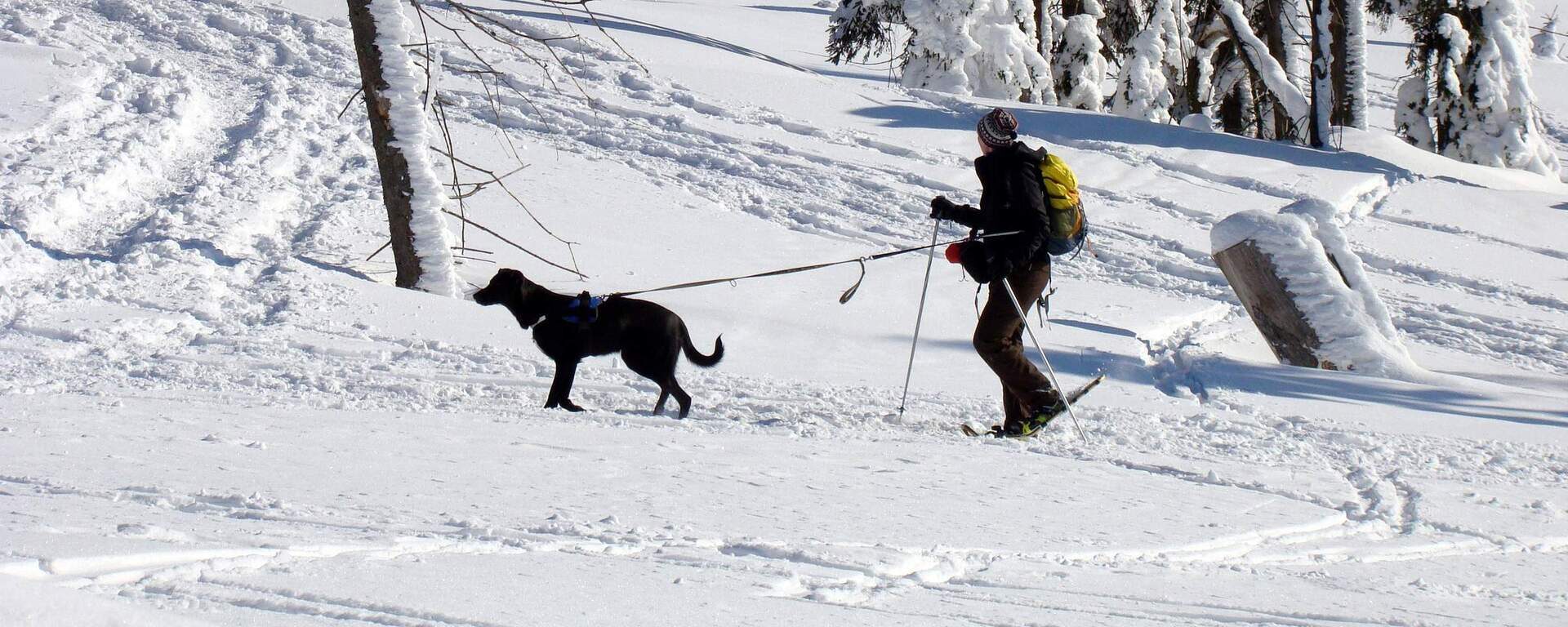 Ein Wanderer mit Hund bewegt sich durch eine tief verschneite Winterlandschaft im Bayerischen Wald.