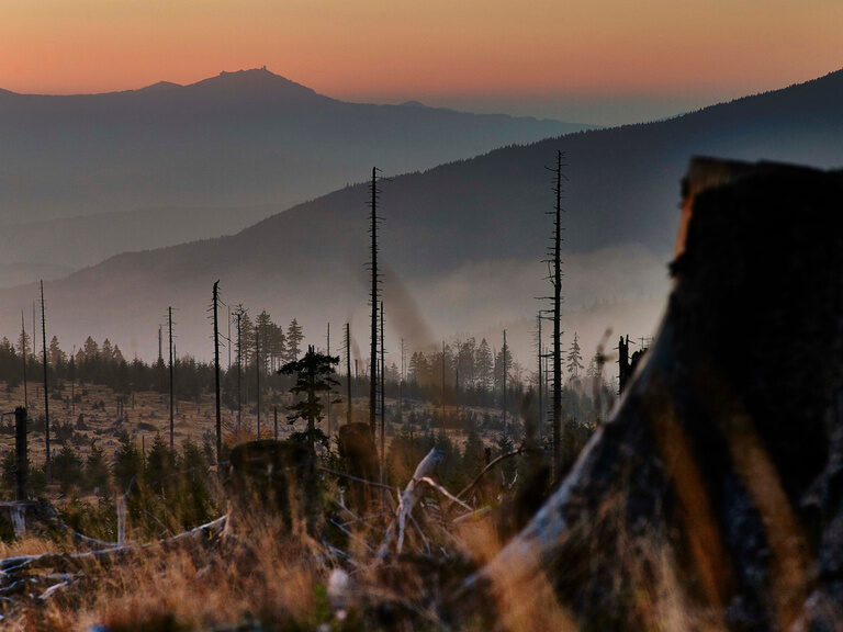 Stimmungsvolle Morgenaufnahme im Nationalpark Bayerischer Wald mit Blick auf den Großen Arber.