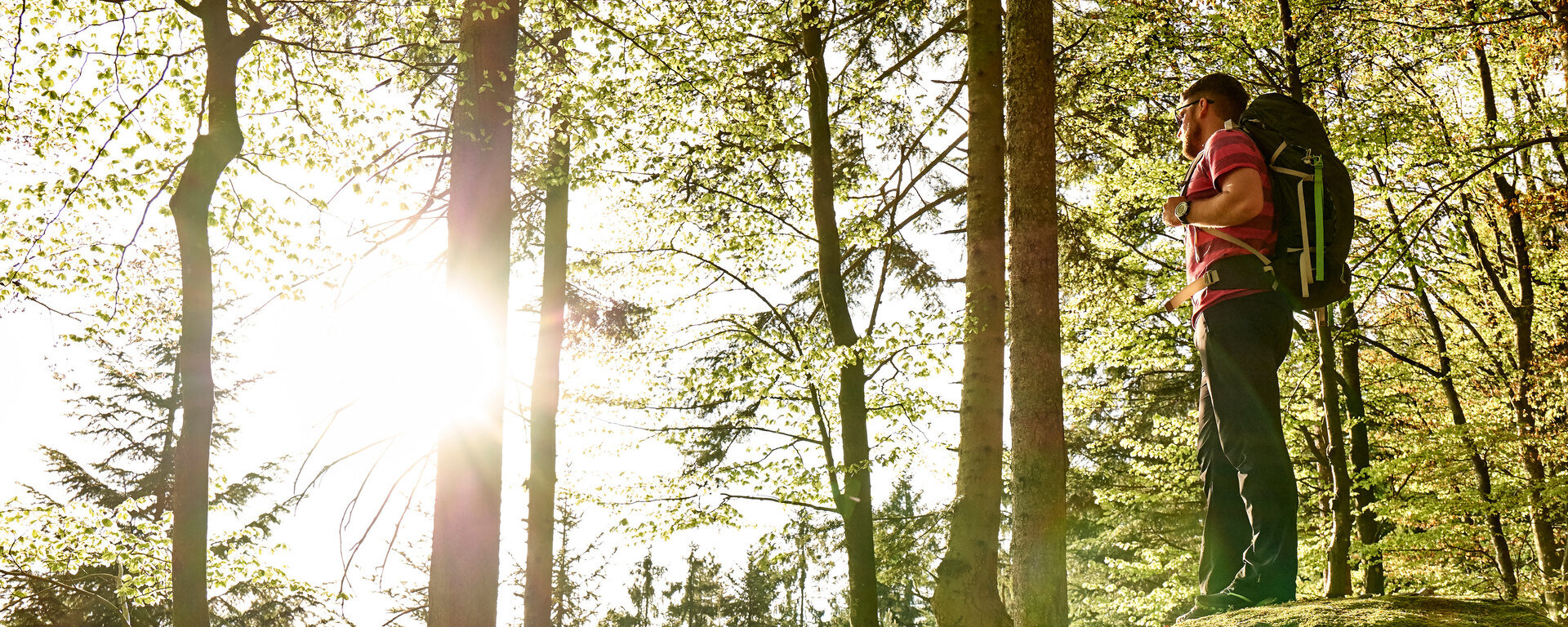 Ein Wanderer steht auf einem Felsen im Nationalpark Bayerischer Wald und blickt in die Landschaft. Sonnenstrahlen dringen durch das Blätterdach.