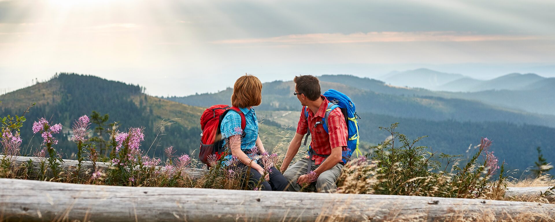 Wanderer nehmen eine wohlverdiente Pause auf einem Baumstamm mit Blick auf den Großen Arber im Bayerischen Wald.