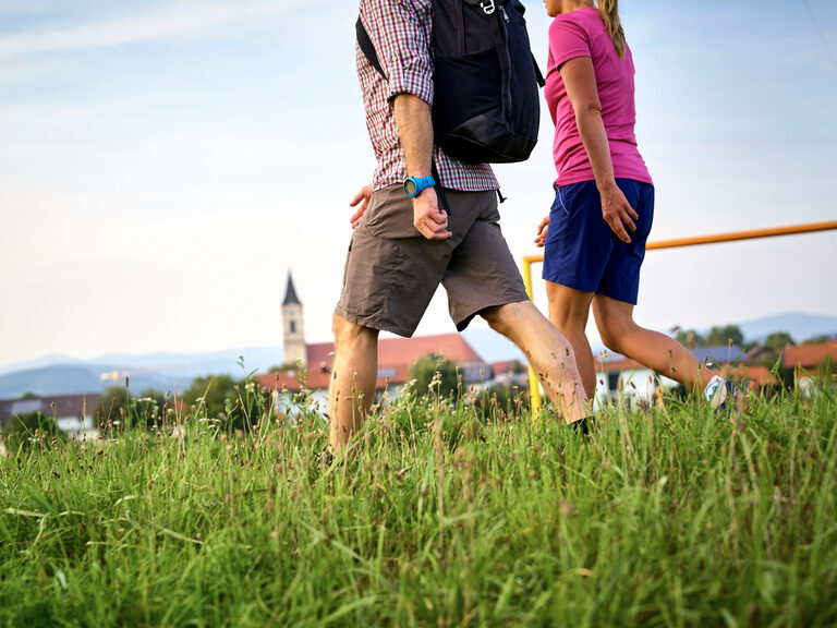 Zwei Personen spazieren mit Rucksäcken durch die weite Graslandschaft im Bayerischen Wald.