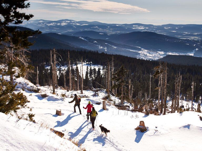 Wanderer mit Hund auf einem verschneiten Höhenweg mit Panoramablick über den Bayerischen Wald.