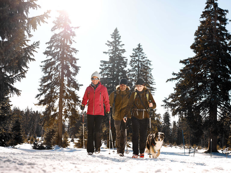Drei Personen und ein Hund wandern durch einen verschneiten Tannenwald im Bayerischen Wald.